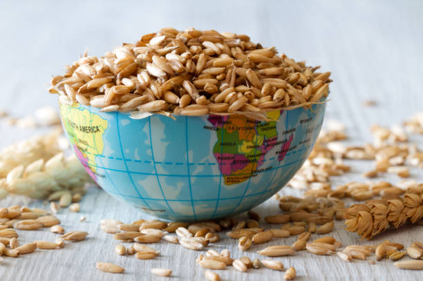 transporting food internationally