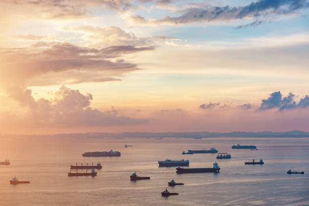 sea freight forwarder