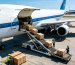 custom freight forwarding solutions